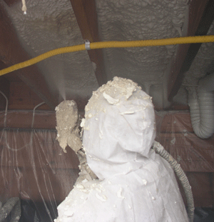 Surrey BC crawl space insulation