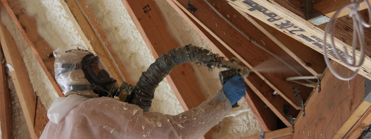 Surrey British Columbia Attic Insulation Spray Foam